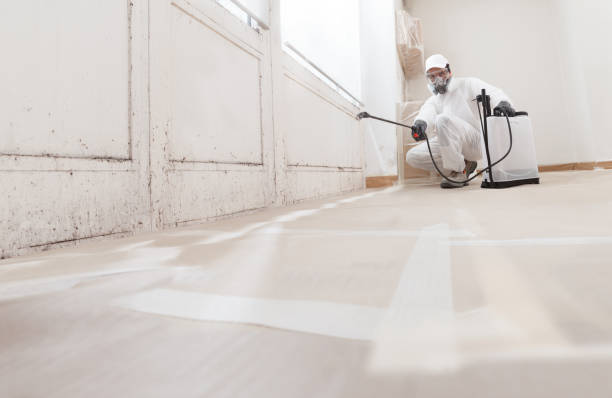 24/7 Emergency Mold Remediation experts in Fairfax, VA