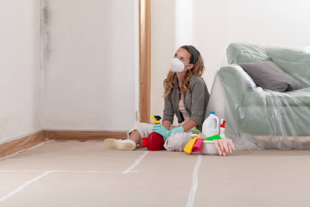 Reliable Mold Remediation contractor in Fairfax, VA by Car Mold Remediation