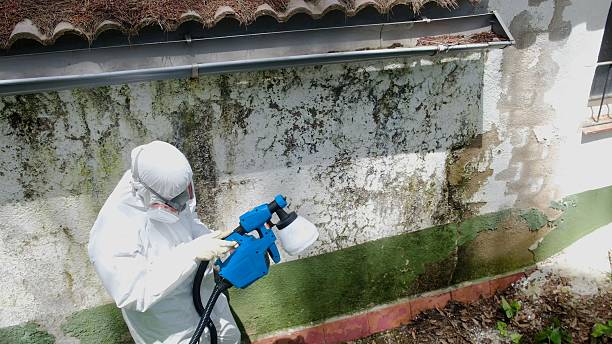 Top rated local Mold Remediation specialists in Fairfax, VA